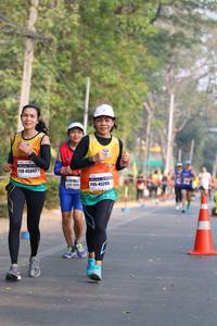 BIB: 45042, 4007, 45205
                            <button type="button" onclick="openModal(10358963)" class="btn btn-primary btn-sm float-right btn-popup" data-toggle="modal" data-target=".modal-high-quality">
                        <i class="fas fa-shopping-cart"></i> Add to Cart
                    </button>
                                            <button type="button" onclick="isThisMe(10358963, true)" class="btn btn-success btn-sm float-right btn-popup btn-isme hidden" data-toggle="tooltip" data-placement="bottom" title="นี่คือรูปของคุณใช่ไหม คลิกที่นี่เพื่อเอาเข้าอัลบั้ม">
                        <i class="fas fa-plus"></i> Add to album
                    </button>
                    <button type="button" onclick="isThisMe(10358963, false)" class="btn btn-warning btn-sm float-right btn-popup btn-isnotme hidden">
                        <i class="fas fa-ban"></i> Remove from album
                    </button>